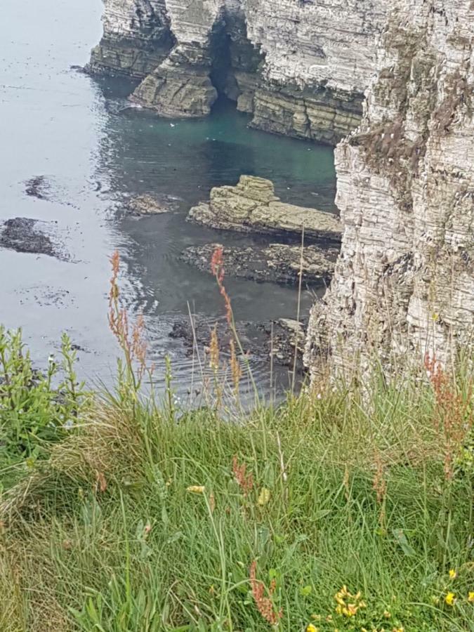 Cameron Court B&B Flamborough Exteriör bild